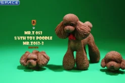 1/6 Scale Toy Poodle