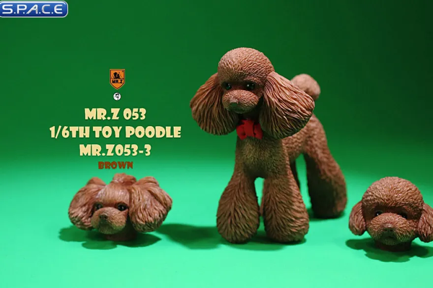 1/6 Scale Toy Poodle