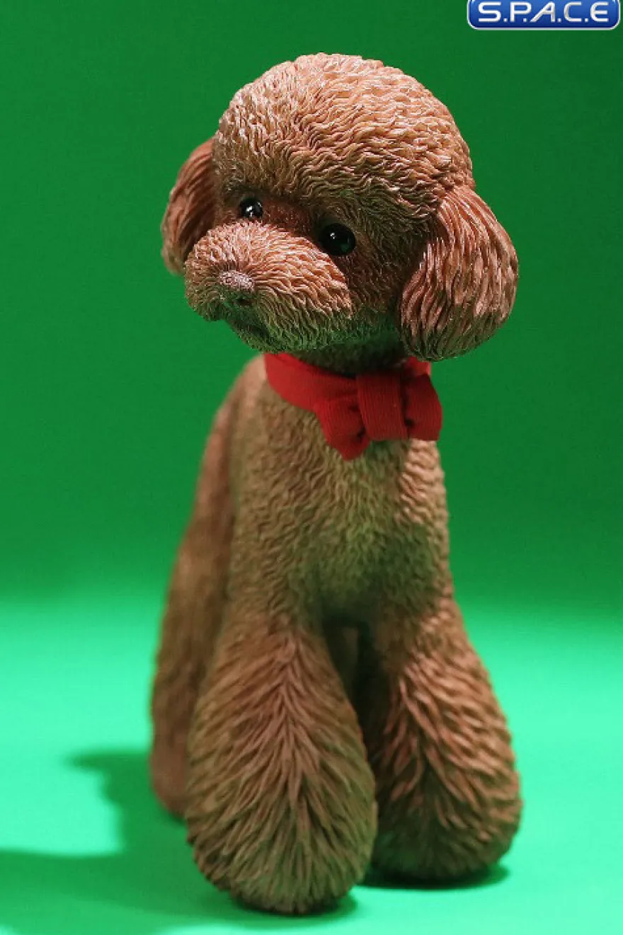 1/6 Scale Toy Poodle