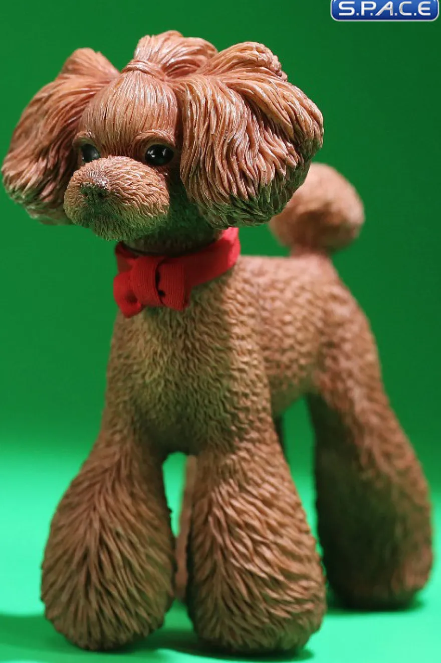 1/6 Scale Toy Poodle