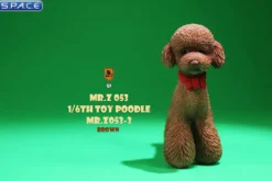 1/6 Scale Toy Poodle