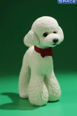 1/6 Scale Toy Poodle