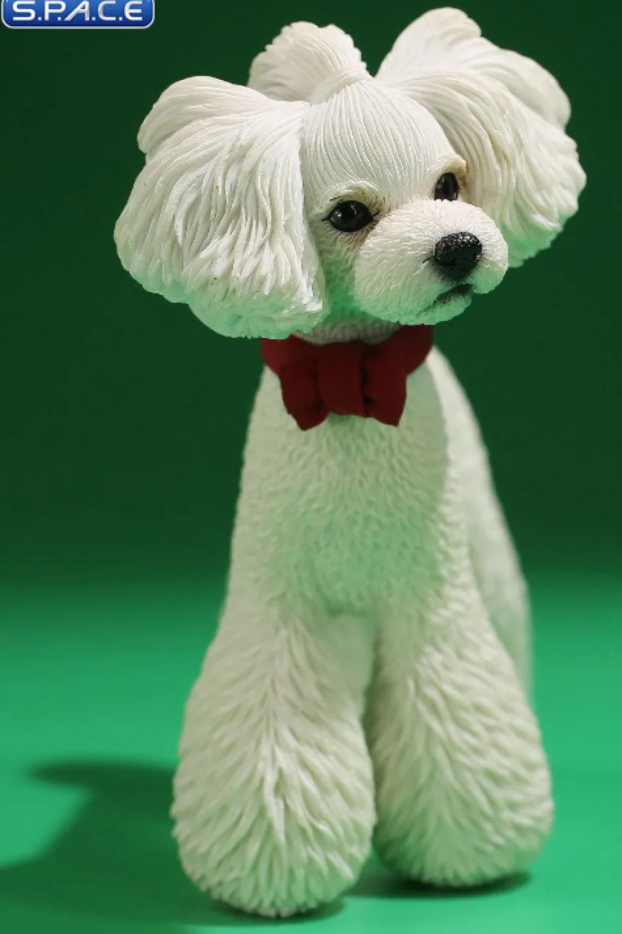 1/6 Scale Toy Poodle