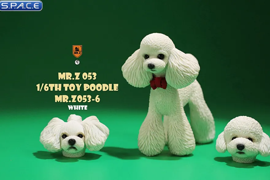 1/6 Scale Toy Poodle