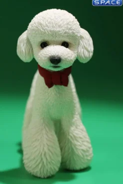 1/6 Scale Toy Poodle