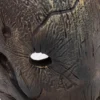 1/2 Scale Trapper Mask Replica