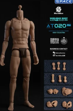1/6 Scale Universal Body AT020 Pro