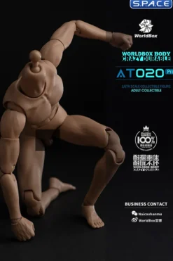 1/6 Scale Universal Body AT020 Pro