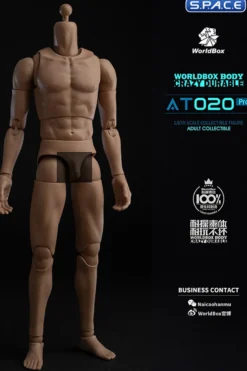 1/6 Scale Universal Body AT020 Pro
