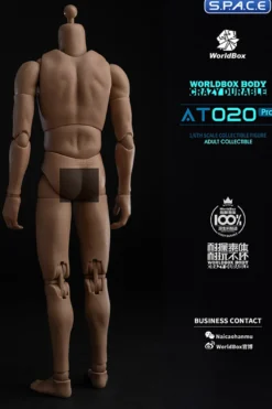 1/6 Scale Universal Body AT020 Pro