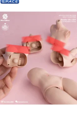 1/6 Scale upper body D-Cup