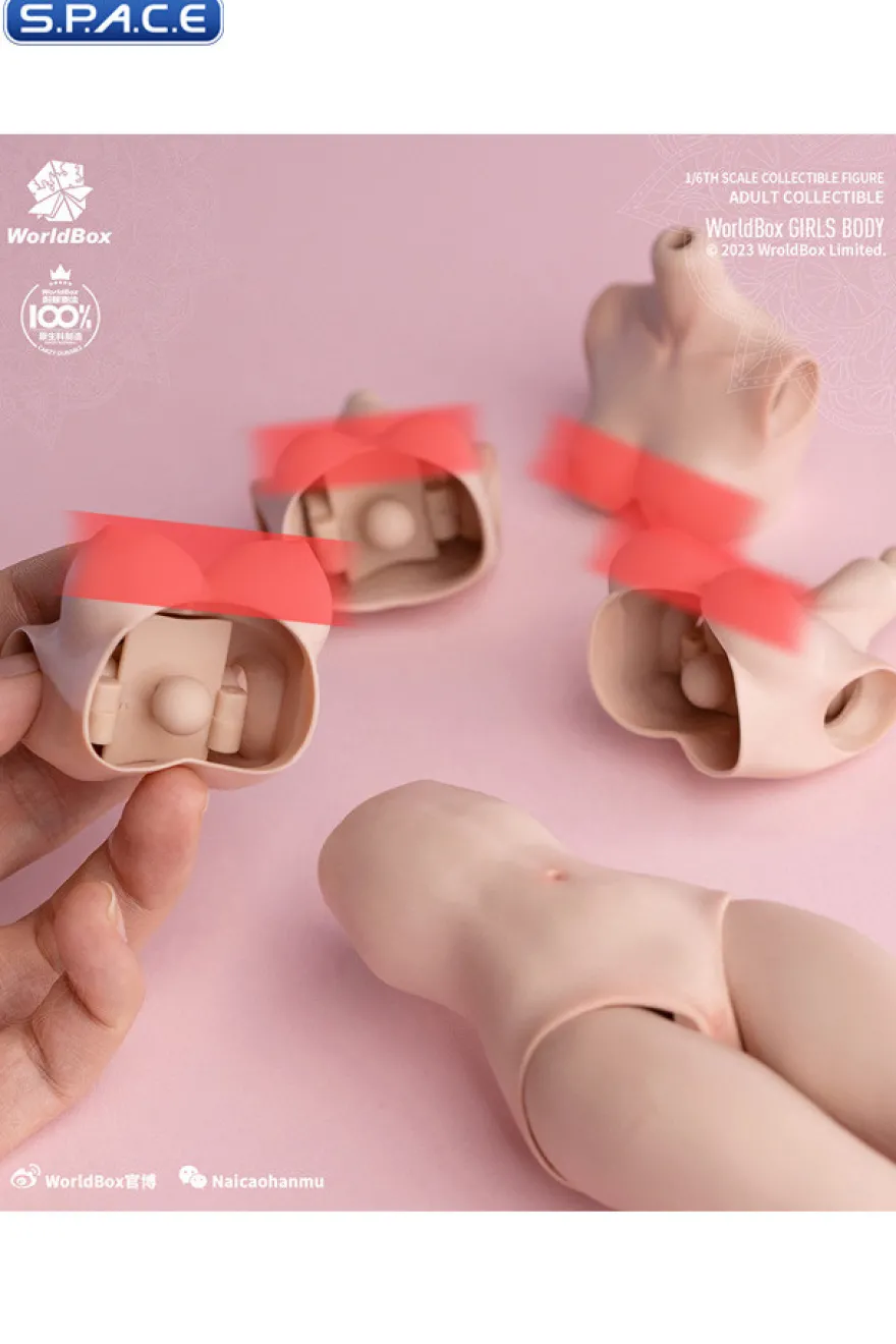 1/6 Scale upper body D-Cup