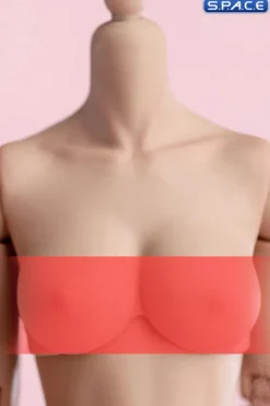 1/6 Scale upper body D-Cup