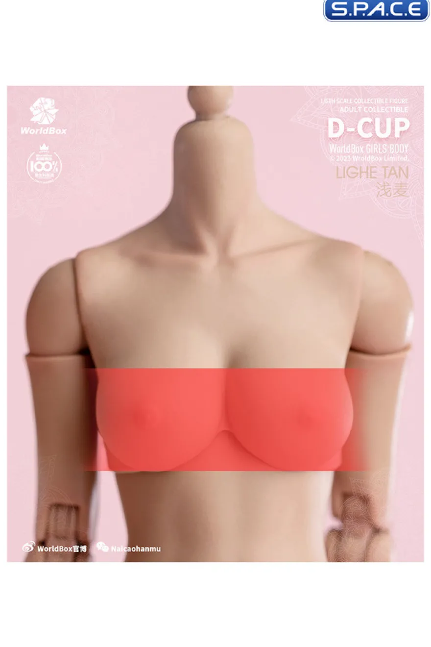 1/6 Scale upper body D-Cup