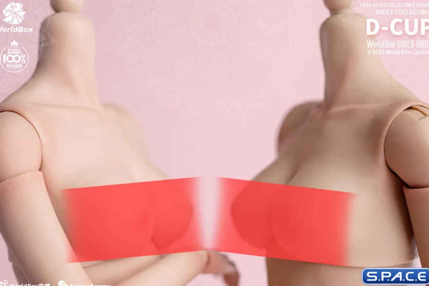 1/6 Scale upper body D-Cup
