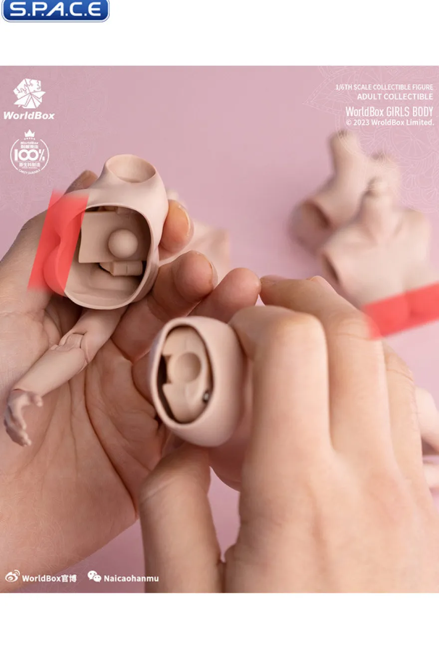 1/6 Scale upper body D-Cup