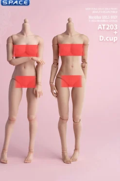 1/6 Scale upper body D-Cup
