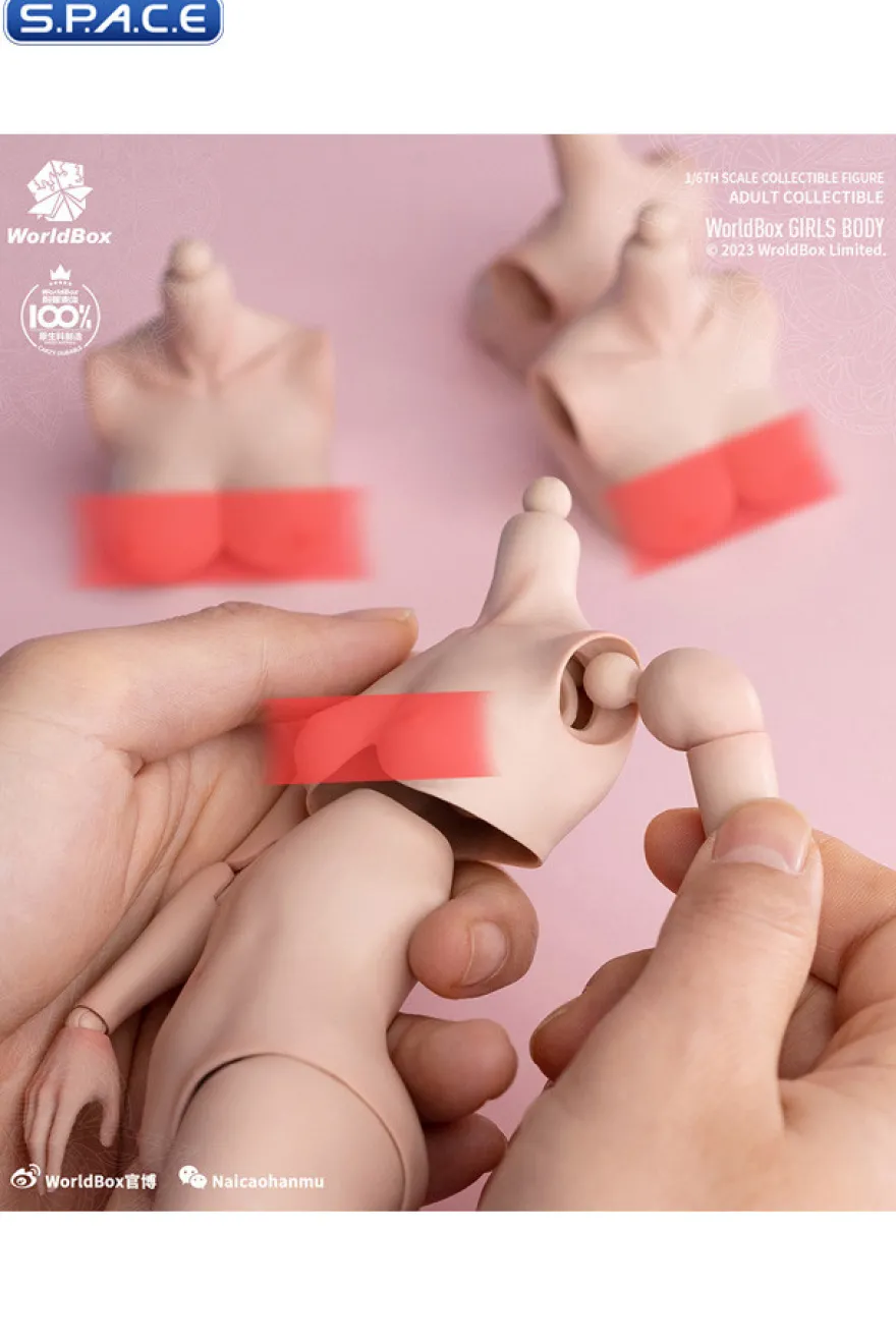 1/6 Scale upper body D-Cup