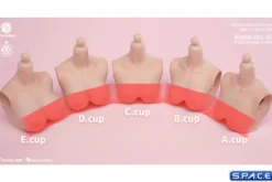 1/6 Scale upper body E-Cup