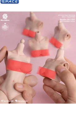 1/6 Scale upper body E-Cup
