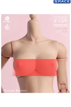 1/6 Scale upper body E-Cup
