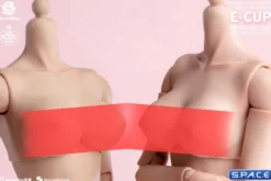 1/6 Scale upper body E-Cup