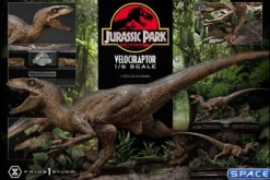 1/6 Scale Velociraptor Attack Legacy Museum Collection Statue