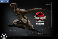 1/10 Scale Velociraptor Prime Collectible Figures Statue - open Mouth Version