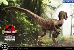1/10 Scale Velociraptor Prime Collectible Figures Statue - open Mouth Version