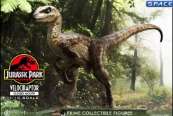 1/10 Scale Velociraptor Prime Collectible Figures Statue