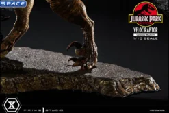 1/10 Scale Velociraptor Prime Collectible Figures Statue
