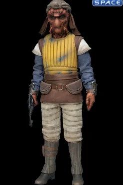 1/6 Scale Vizam Scum & Villainy