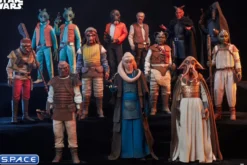 1/6 Scale Vizam Scum & Villainy