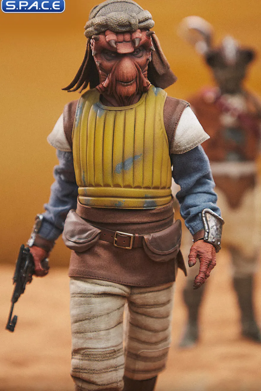 1/6 Scale Vizam Scum & Villainy