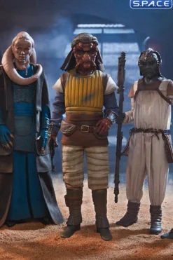 1/6 Scale Vizam Scum & Villainy