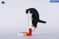 1/6 Scale Wall-Climbing Cat