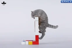 1/6 Scale Wall-Climbing Cat