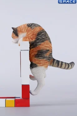 1/6 Scale Wall-Climbing Cat
