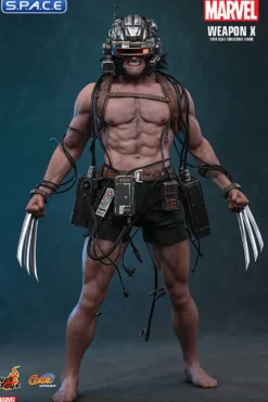 1/6 Scale Weapon X Comic Masterpiece CMS034