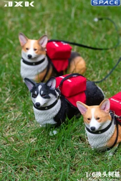 1/6 Scale Welsh Corgi Pembroke