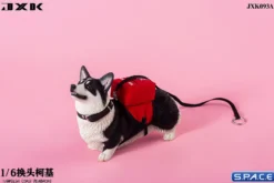 1/6 Scale Welsh Corgi Pembroke