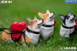 1/6 Scale Welsh Corgi Pembroke