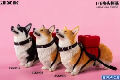 1/6 Scale Welsh Corgi Pembroke