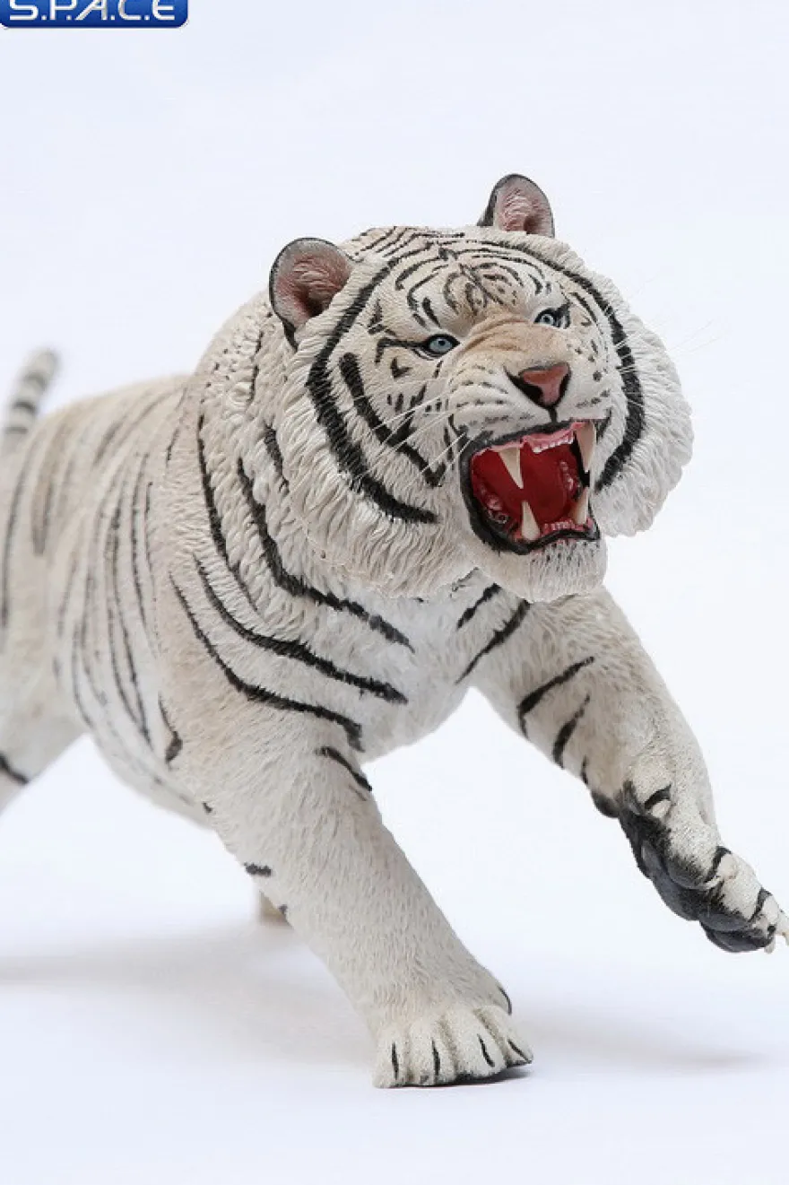 1/6 Scale white attacking Tiger