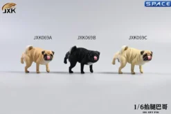 1/6 Scale white Pug leg lift including hydrant base