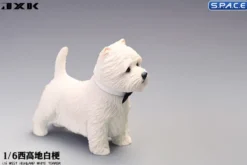 1/6 Scale white West Highland Terrier
