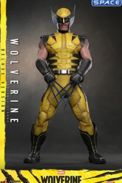 1/6 Scale Wolverine Deluxe Version