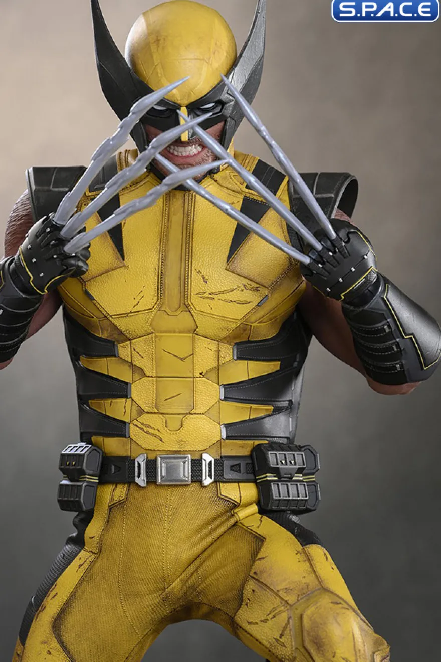 1/6 Scale Wolverine Deluxe Version