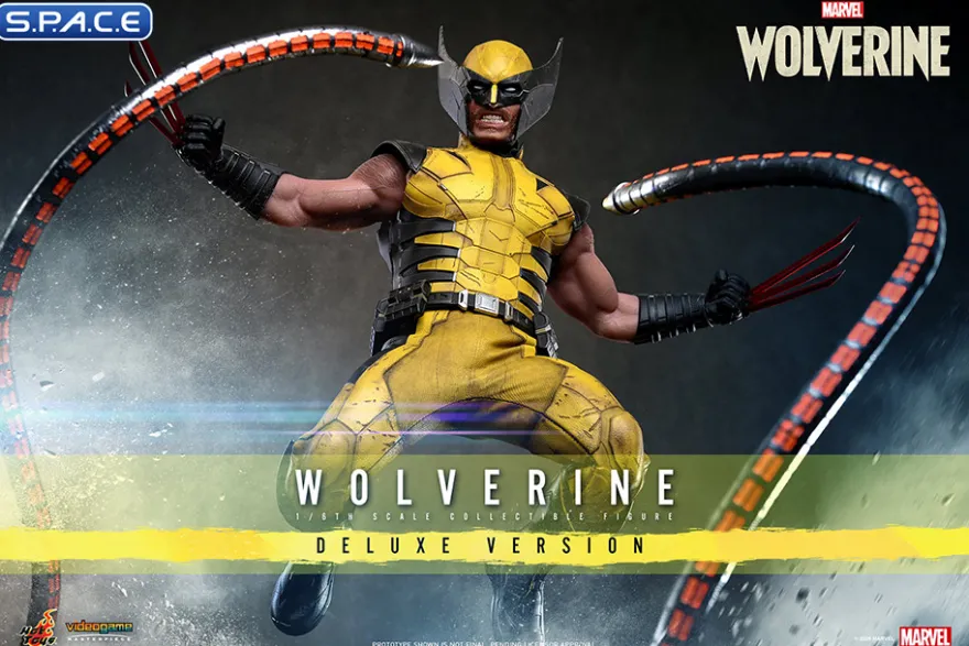 1/6 Scale Wolverine Deluxe Version