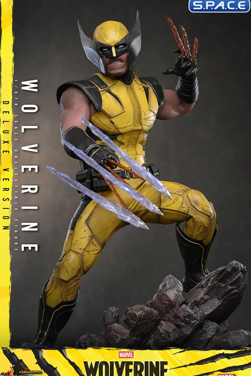 1/6 Scale Wolverine Deluxe Version